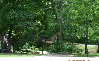 Campsite 7 showing parking spur, lantern post and fire ring