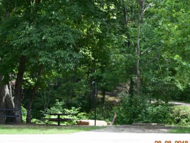 Campsite 7 showing parking spur, lantern post and fire ring