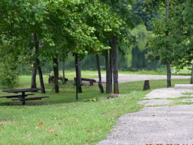 Campsite 8