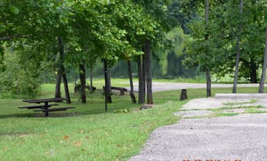 Campsite 8 showing parking spur, picnic table and lantern post