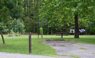 Campsite 9