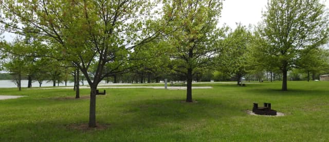 Site 46 in Turkey Point Campground