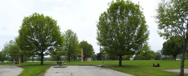 Site 49 in Turkey Point Campground