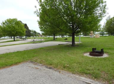 Site 50 in Turkey Point Campground