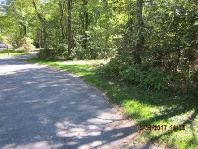 Loft Mountain Campground - Site D113