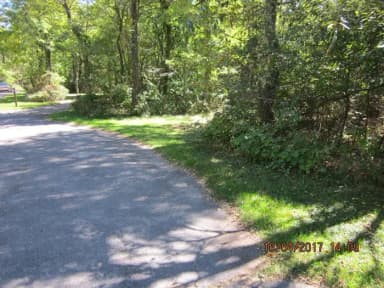 Loft Mountain Campground - Site D113