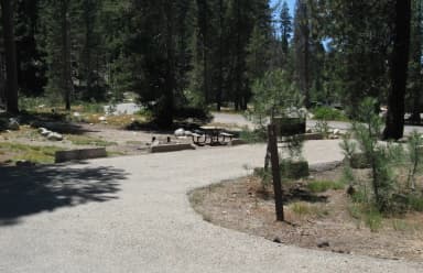 site 8