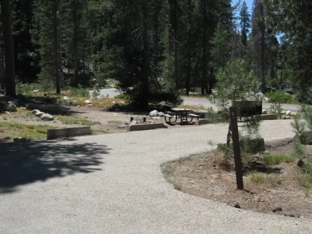 site 8