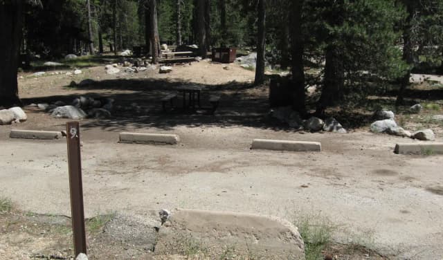 site 9