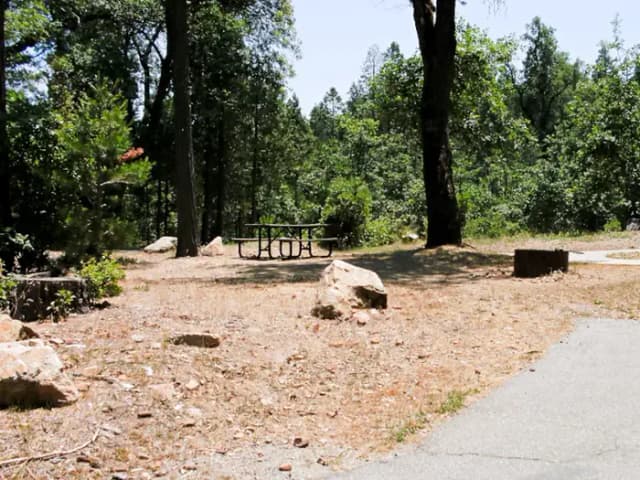 Spring Cove Campground