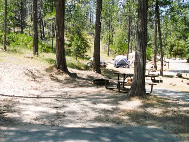 Spring Cove Campground