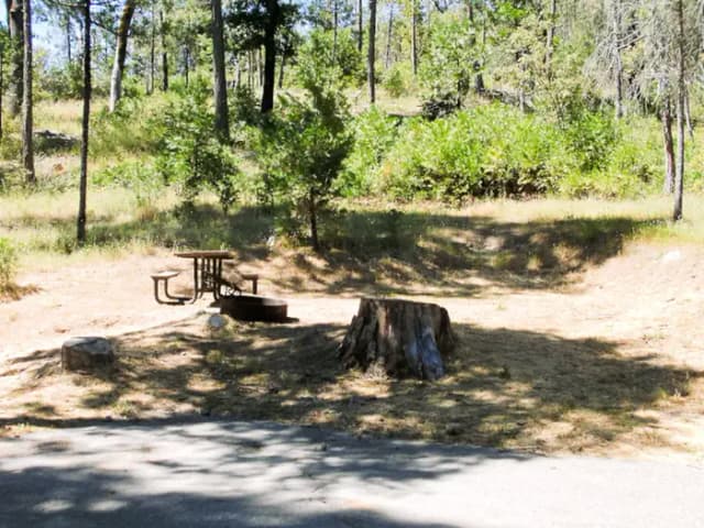 Spring Cove Campground