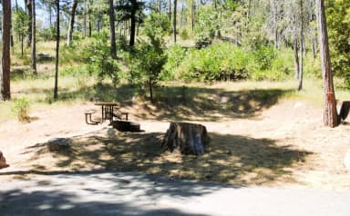 Spring Cove Campground