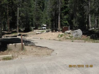 site 12