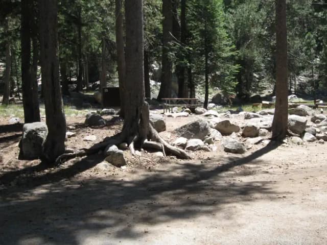 site 13