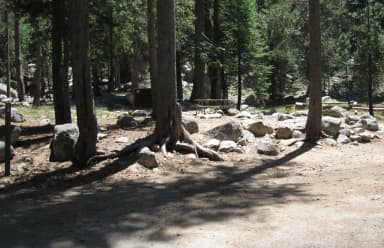 site 13