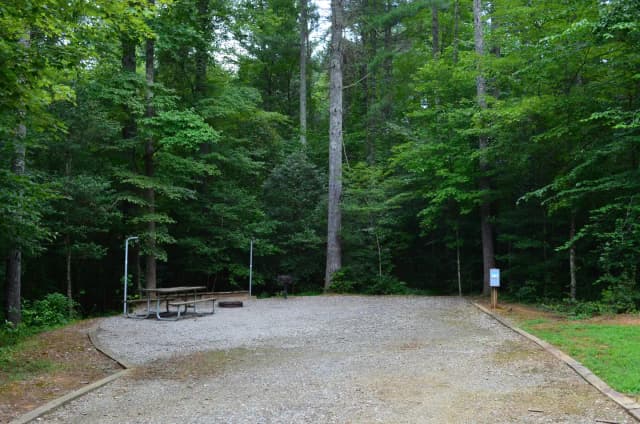 Loop WCRE · Site 44 at Warrior Creek