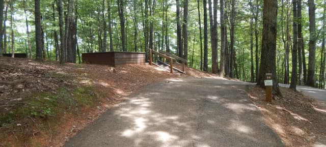 Site #38
