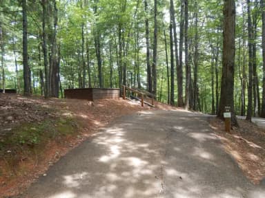 Site #38