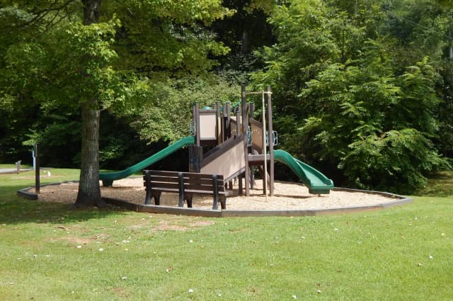 A small playground nestled in the trees and surrounded by manicured grass.