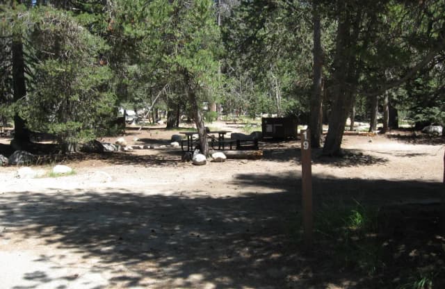 site 19
