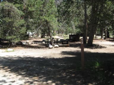 site 19