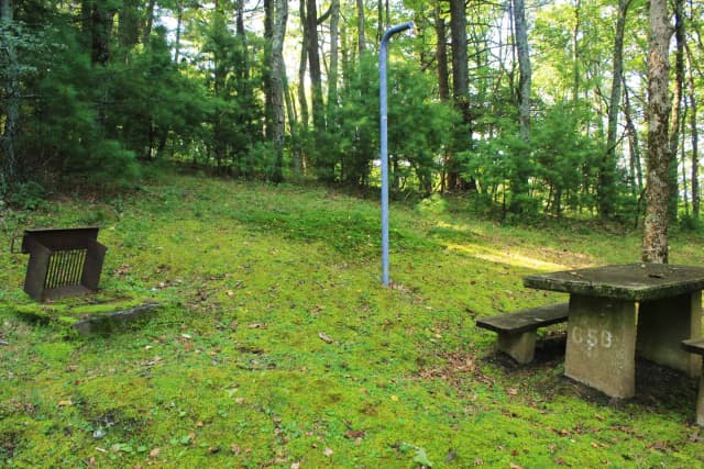 B65b Site Photo