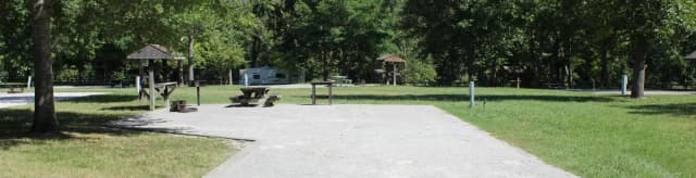 Site 38