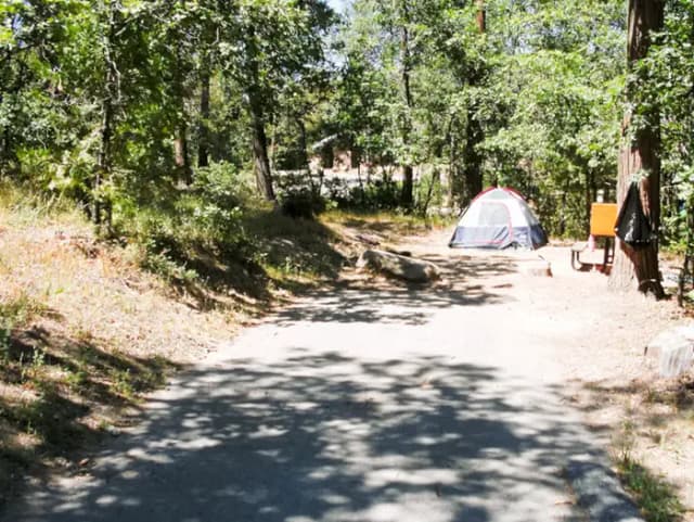 Spring Cove Campground