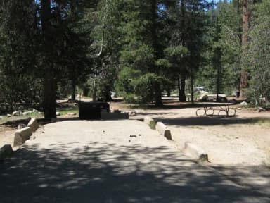 23-35 · Site 026 at Lodgepole Campground-Sequoia and Kings Canyon National Park