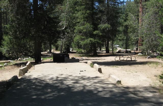 23-35 · Site 026 at Lodgepole Campground-Sequoia and Kings Canyon National Park