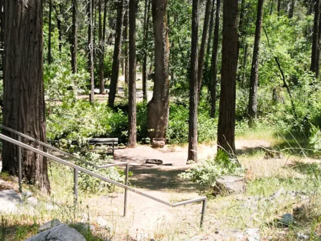 Spring Cove Campground
