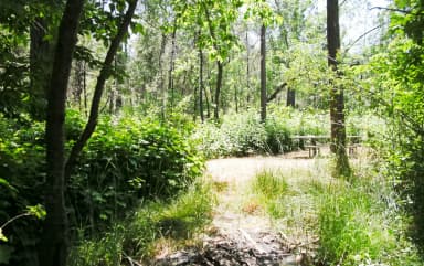 Spring Cove Campground,Picnic Table, Fire Pit, Shade.