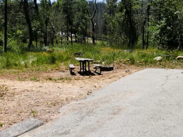 Spring Cove Campground