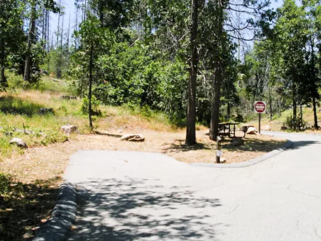 Spring Cove Campground