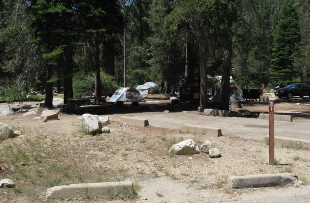 site 31