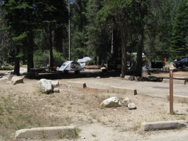 site 31