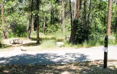 Spring Cove Campground