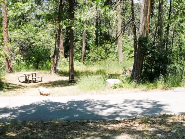 Spring Cove Campground