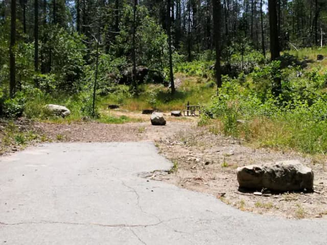 Spring Cove Campground