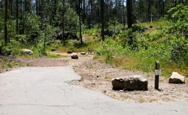 Spring Cove Campground