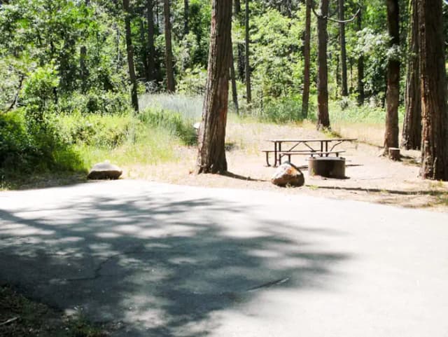 Spring Cove Campground