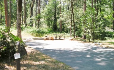 Site 059 at Spring Cove
