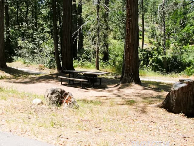 Spring Cove Campground