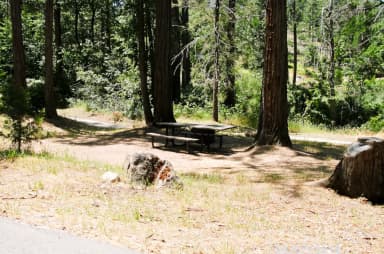 Spring Cove Campground