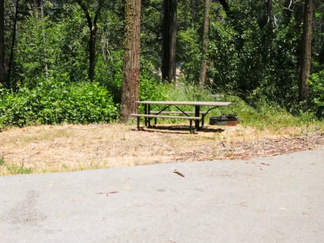Spring Cove Campground