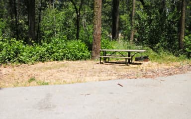 Spring Cove Campground