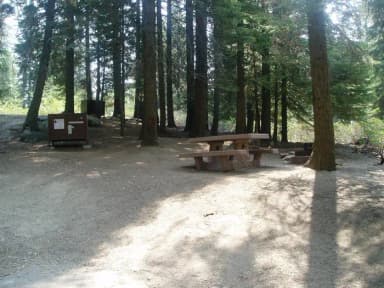 Site #99  Steep hillside.  Camper recommended