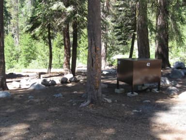 site 42