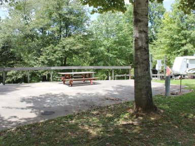 Site 40